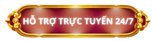 hỗ trợ trực tuyến 24/7